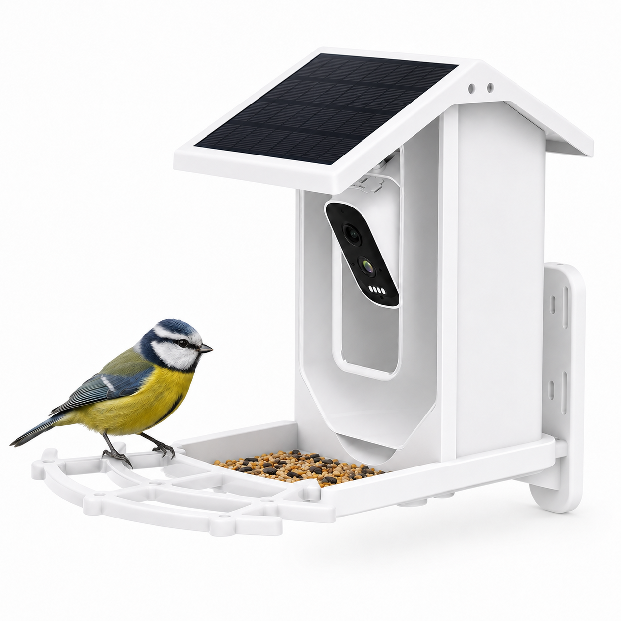 BirdVue - AI Smart Bird Feeder Camera